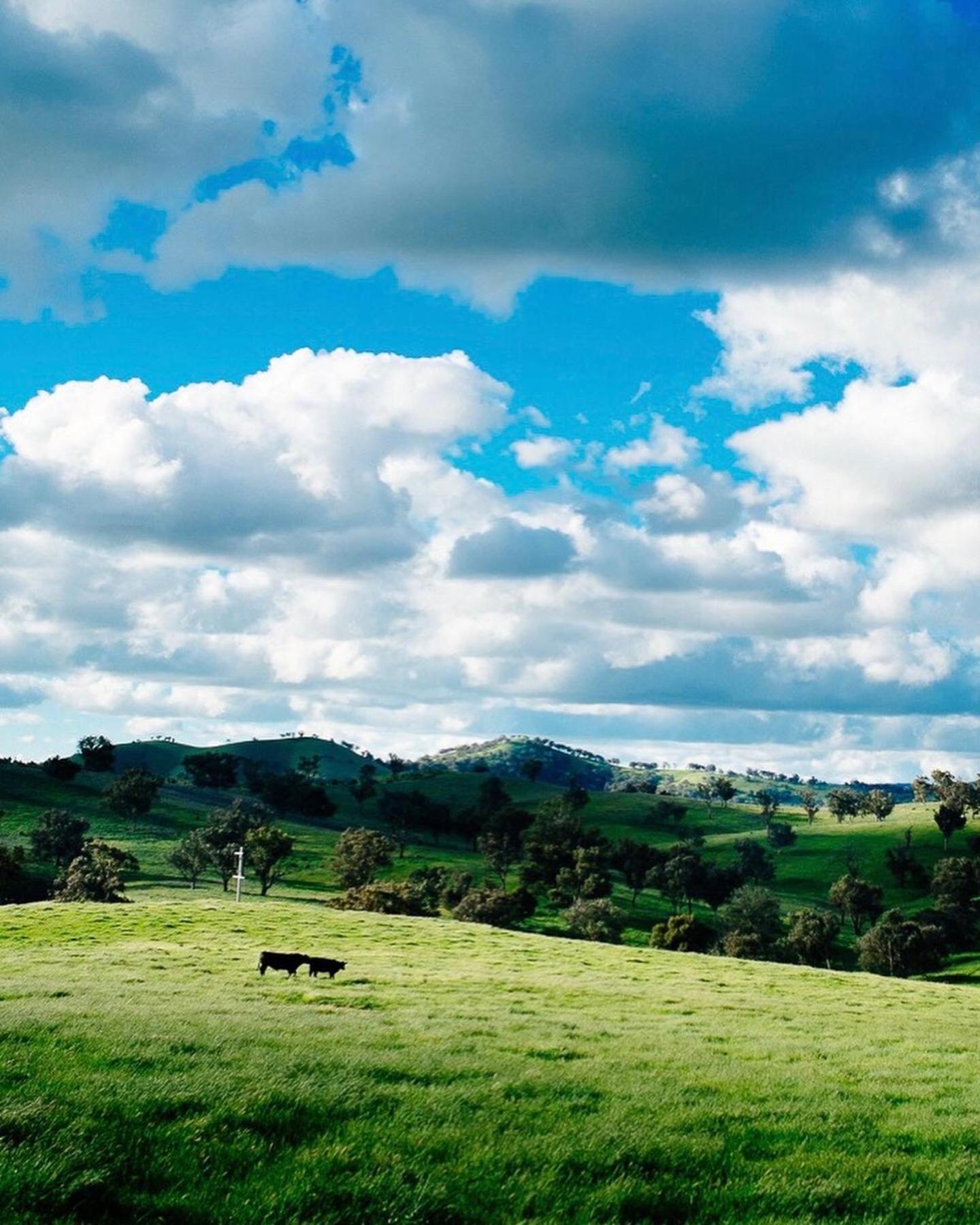 Kimo Estate Villa Gundagai Kültér fotó