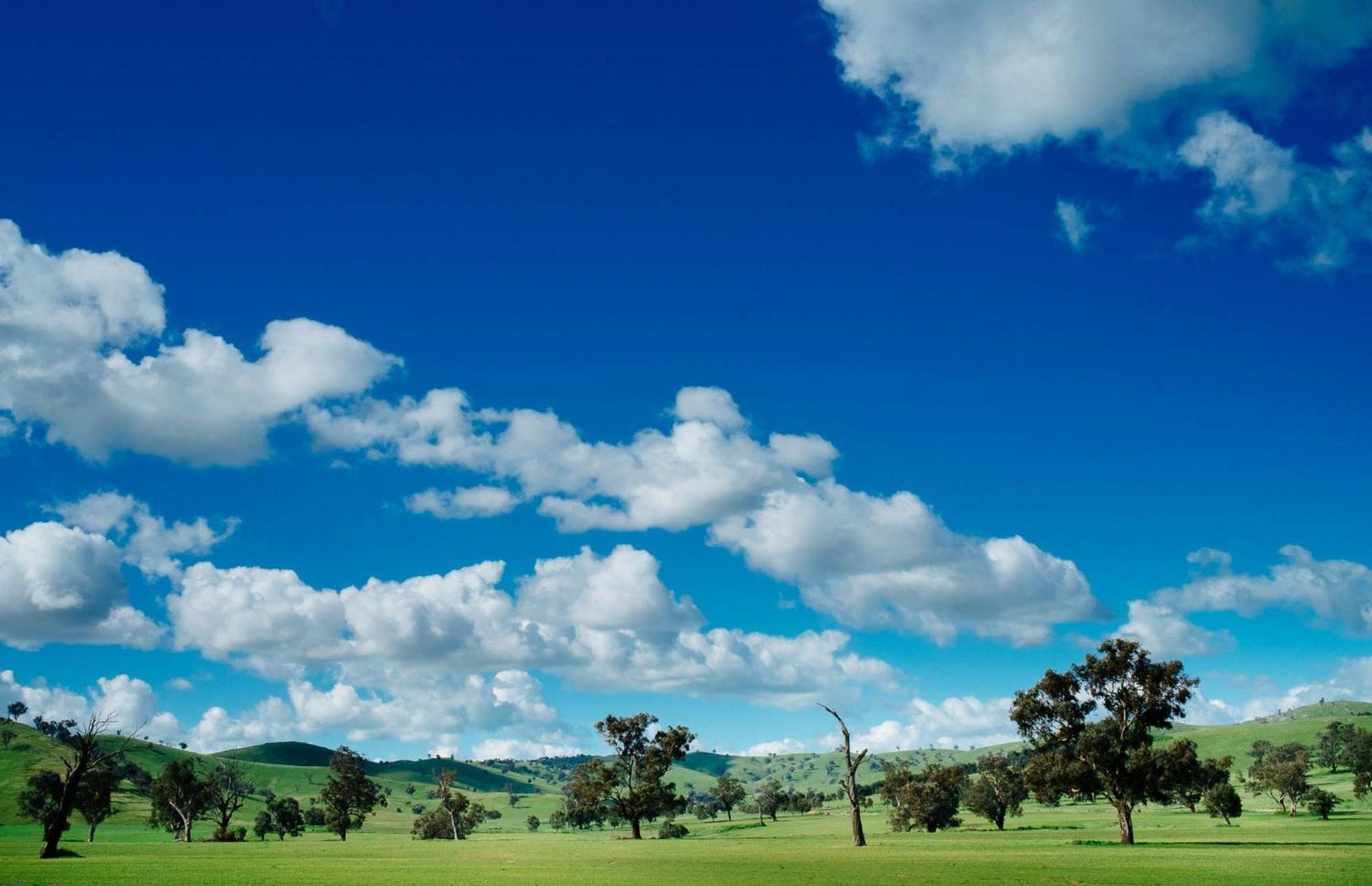 Kimo Estate Villa Gundagai Kültér fotó